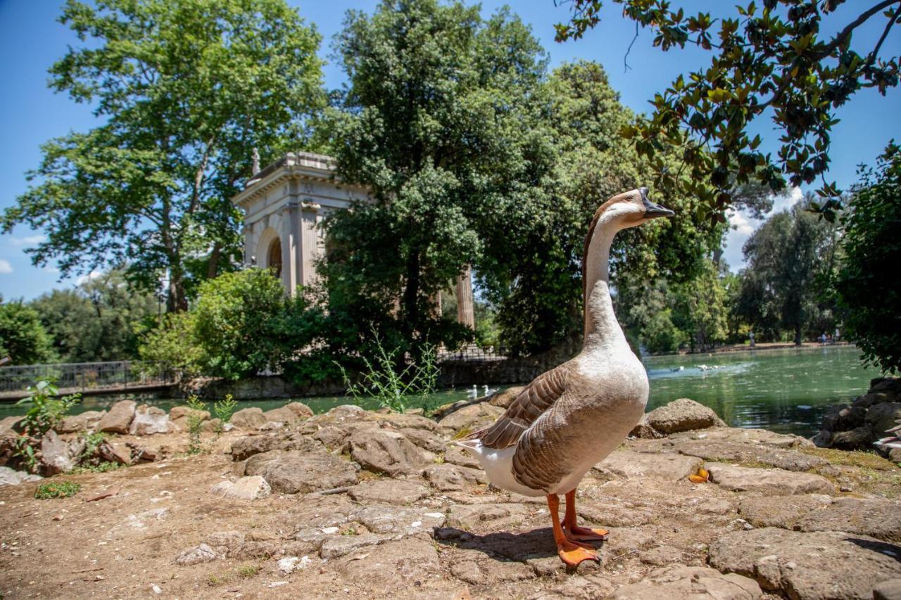 Stay Inn Rome Via Del Corso Bagian luar foto